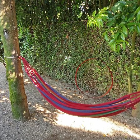 Quinta Da Mainha - Charming Houses - Escape To Nature Μπράγκα Εξωτερικό φωτογραφία