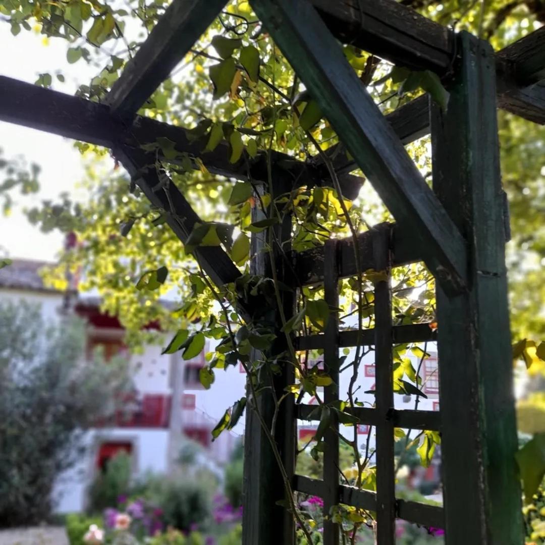 Quinta Da Mainha - Charming Houses - Escape To Nature Μπράγκα Εξωτερικό φωτογραφία