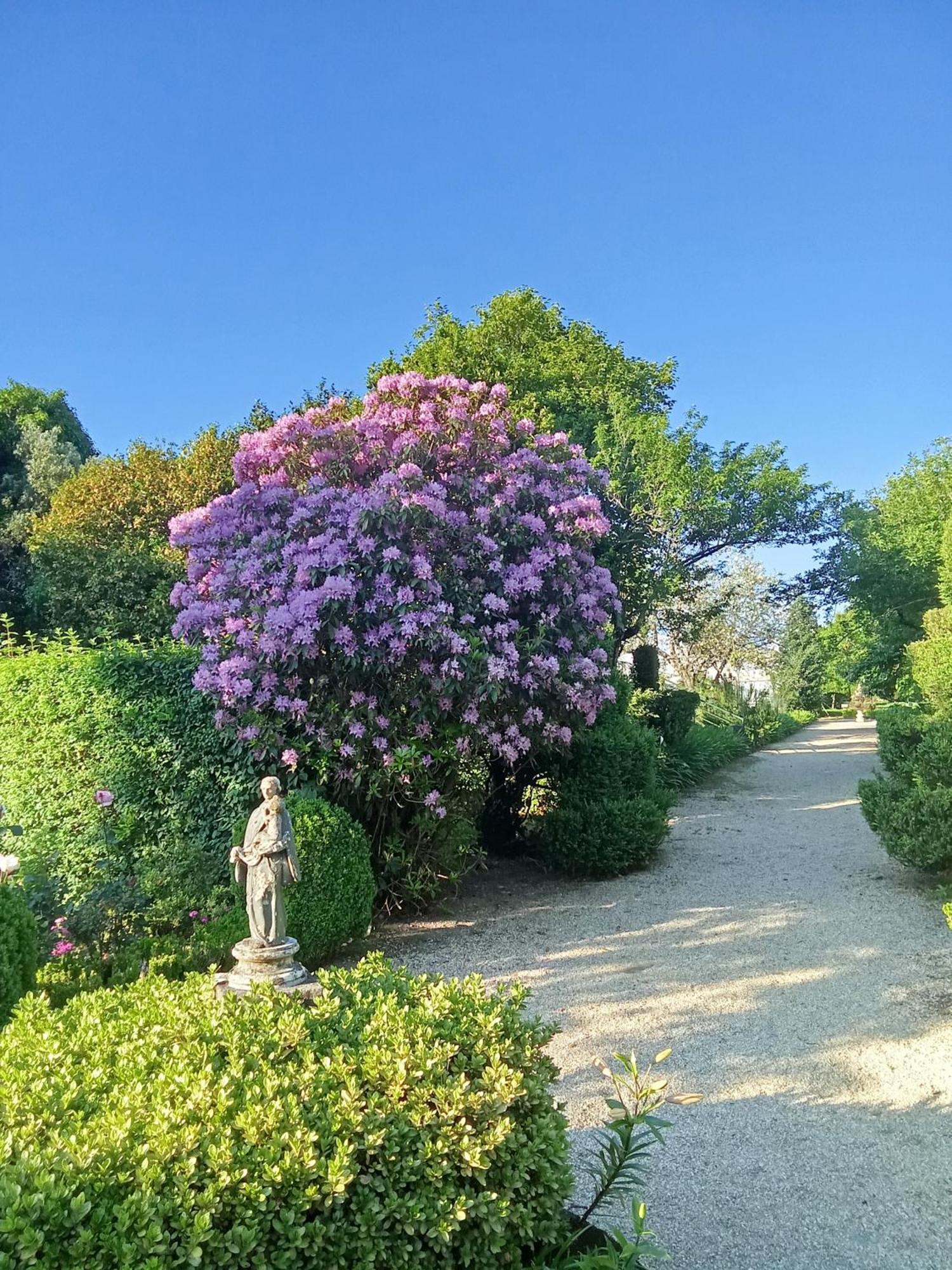 Quinta Da Mainha - Charming Houses - Escape To Nature Μπράγκα Εξωτερικό φωτογραφία